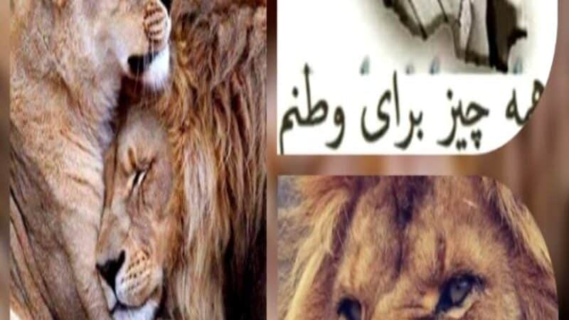 روزتلن خوش از لندن با عشق